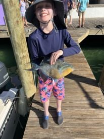 Trigger fish