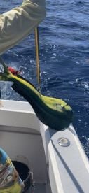 Fishing with Don Carlos