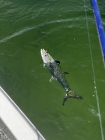 May fishing trip