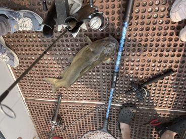 Fishing with Steve