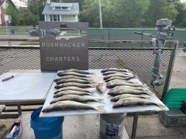 Fishing with Steve