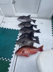 May fishing trip