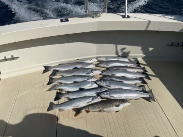 Fishing trip in May
