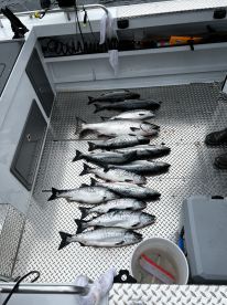 Half day trip with The Alaska Catch
