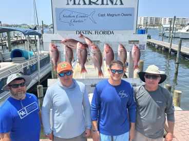 Half day trip with captain Magnum 