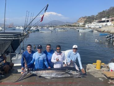 Some pics with Tiger Crew