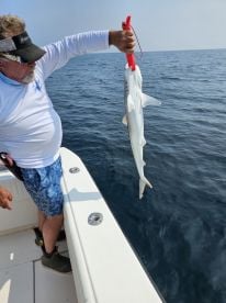 6 hour trip with Captain Will and Mate George 