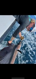 Sailfish and mahi