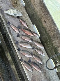 July fishing trip
