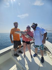 Awesome Experience