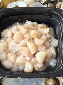 Half Day Scallop Trip W/Capt Mike