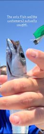 Pay to watch someone else fish...