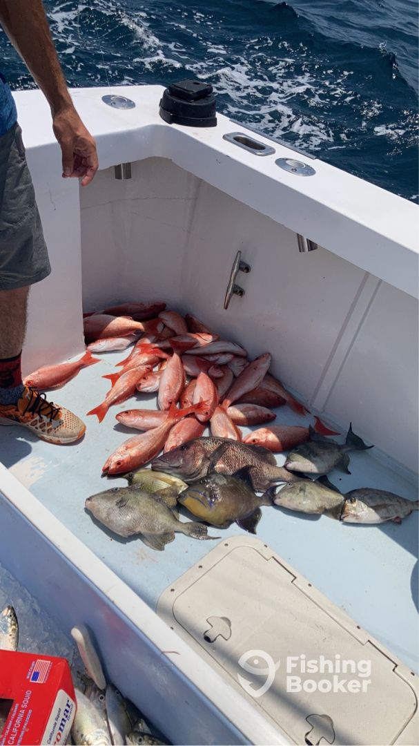 Black & Blue Fishing Charters HHI Updated 2024 Prices