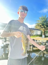 BEST IN SOUTH FLORIDA ???