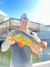 BEST IN SOUTH FLORIDA ???