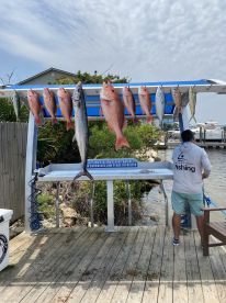 Huge Red Snapper & King Mackerel