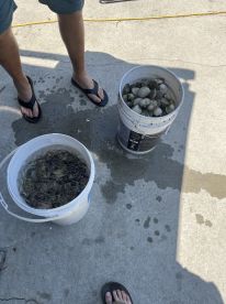 Scalloping trip