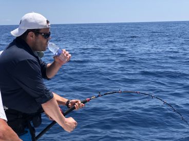 Full day tuna