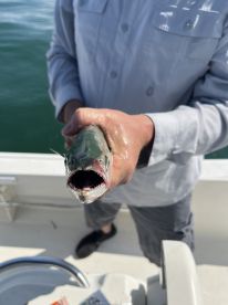 Awesome day fishing 