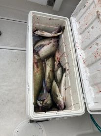 Great trip high class fishing