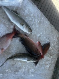 August fishing trip