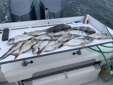 fun day of fishing 