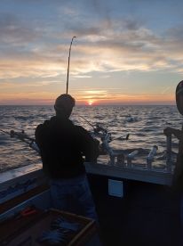 Sunrise