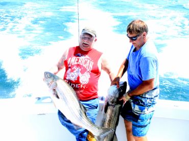 Full Day Trip on Cujo