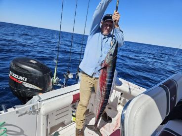 Free bird II experience