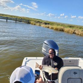 Love the boat and crew. Getting on abd off the boat was effortless. Also was the climbing from level to another due to the step between levels. Th I s is m I st helpful fir people with bad knees.