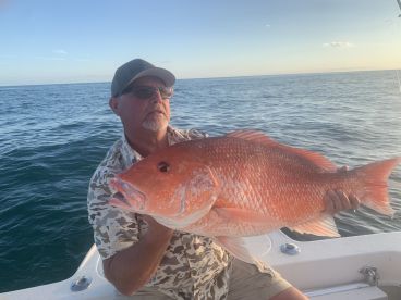 trophy red snapper