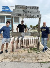 Catching the limit 