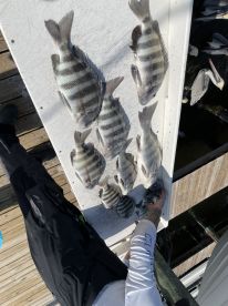 Captain Parker was the man!