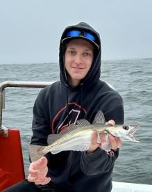 We caught a bunch of fish 