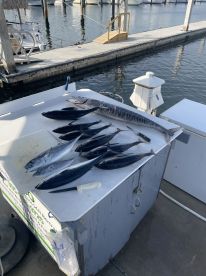 Amazing trip, super friendly captain and crew