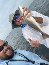 On the FISH
