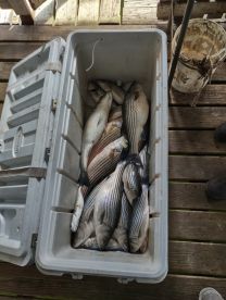 Great fishing trip