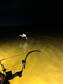 Amazing fishing-hunting