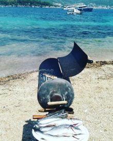 Not what we expected