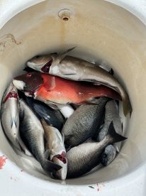 Fishing 