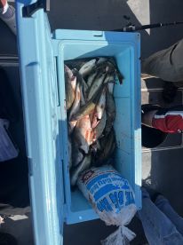 Walleye Trip