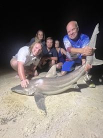 Tagged a Black Tip