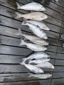Great Fishing Charter