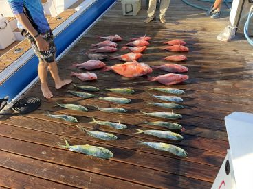 Black Belt Charters
