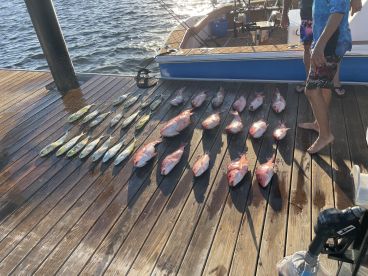 Black Belt Charters