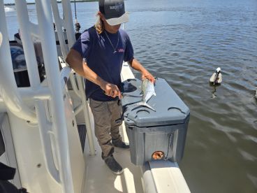 Best florida fishing charter?