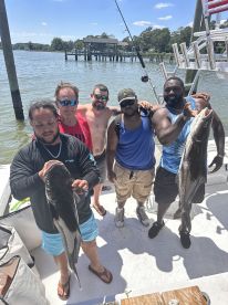 Big Cobia