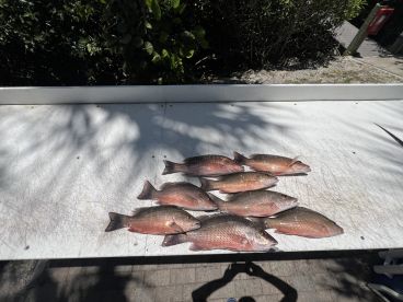 June fishing trip