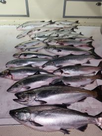 Birthday Fishing!
