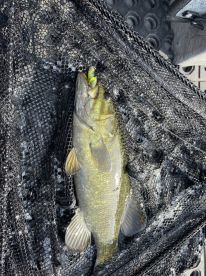 Aaron is a great guide!